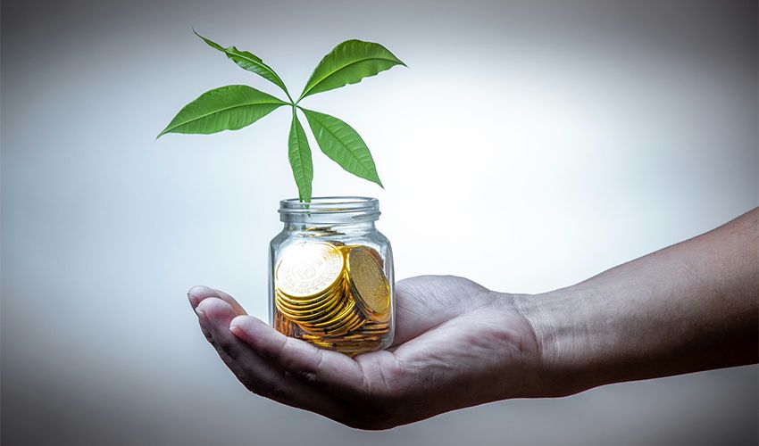 Smart Financial Advisory Services for Sustainable Growth